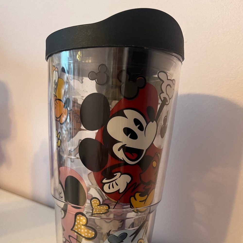 Disney Tervis Tumbler